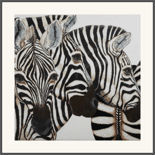Zebras on High Alert