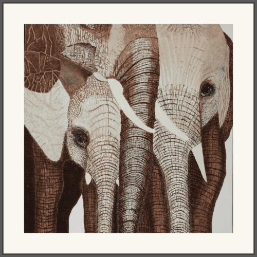 An Elephant Family