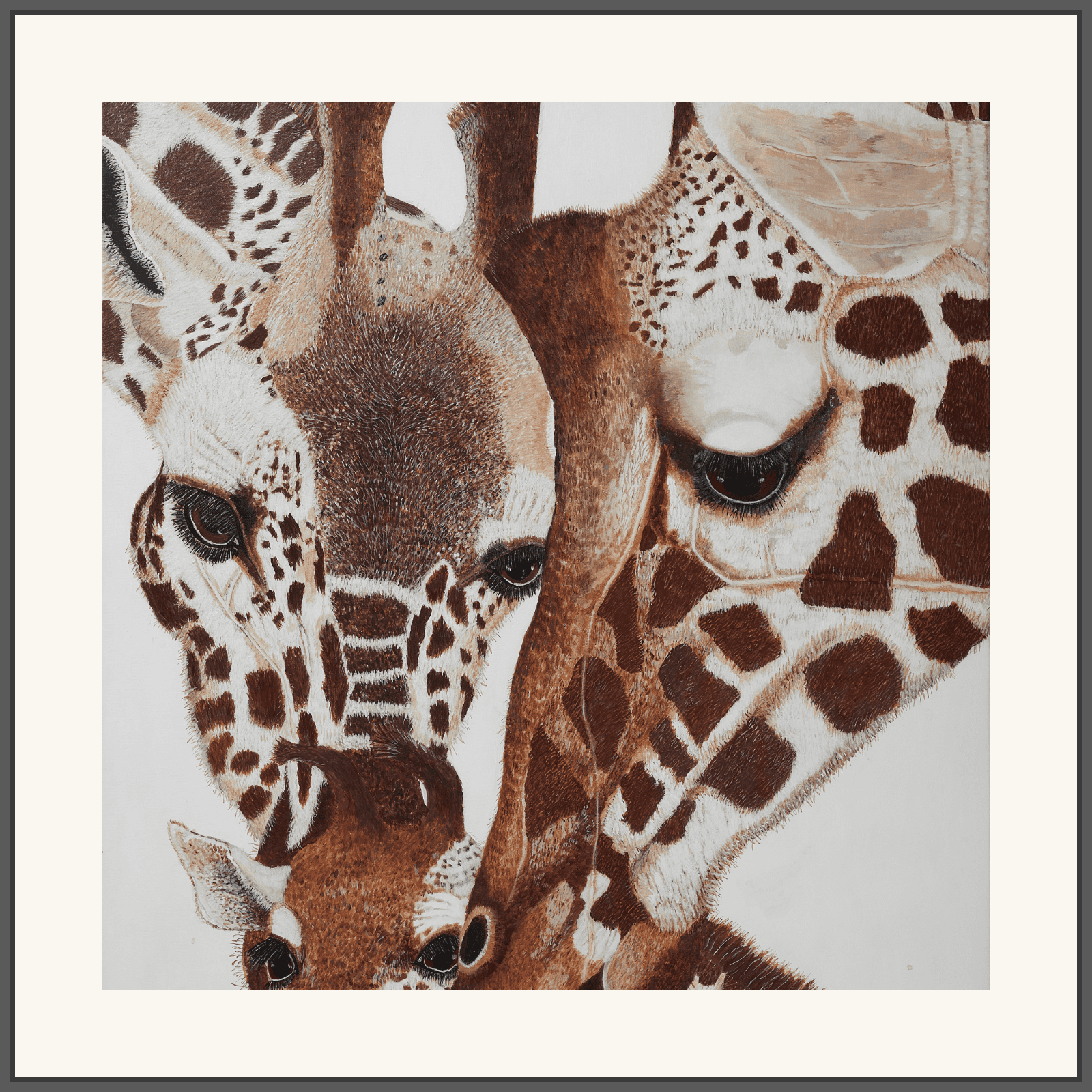 A Young Family of Giraffe Caring for each other