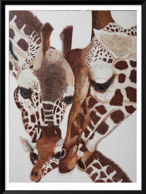 Giraffe Family