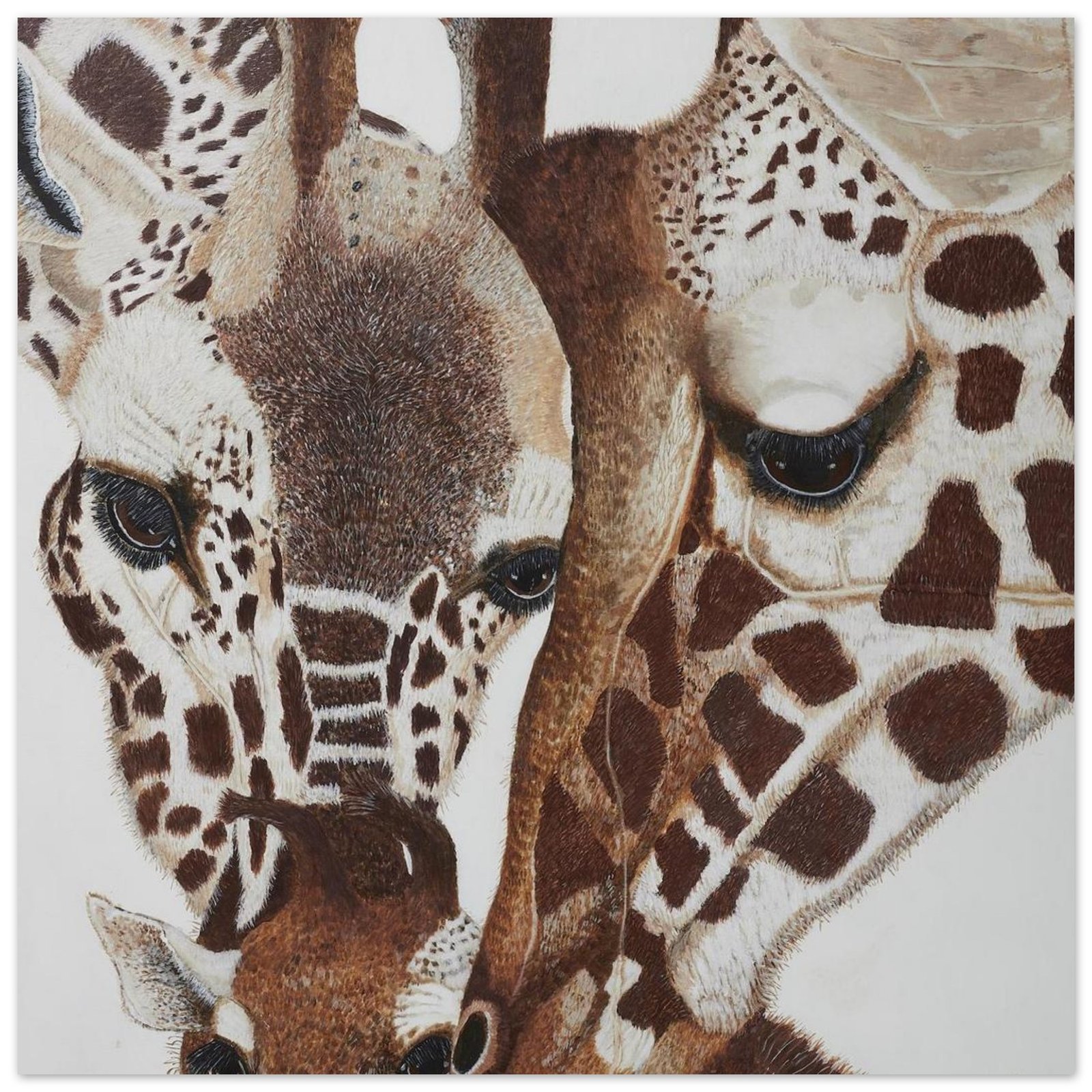 A Young Family of Giraffes Caring for each other