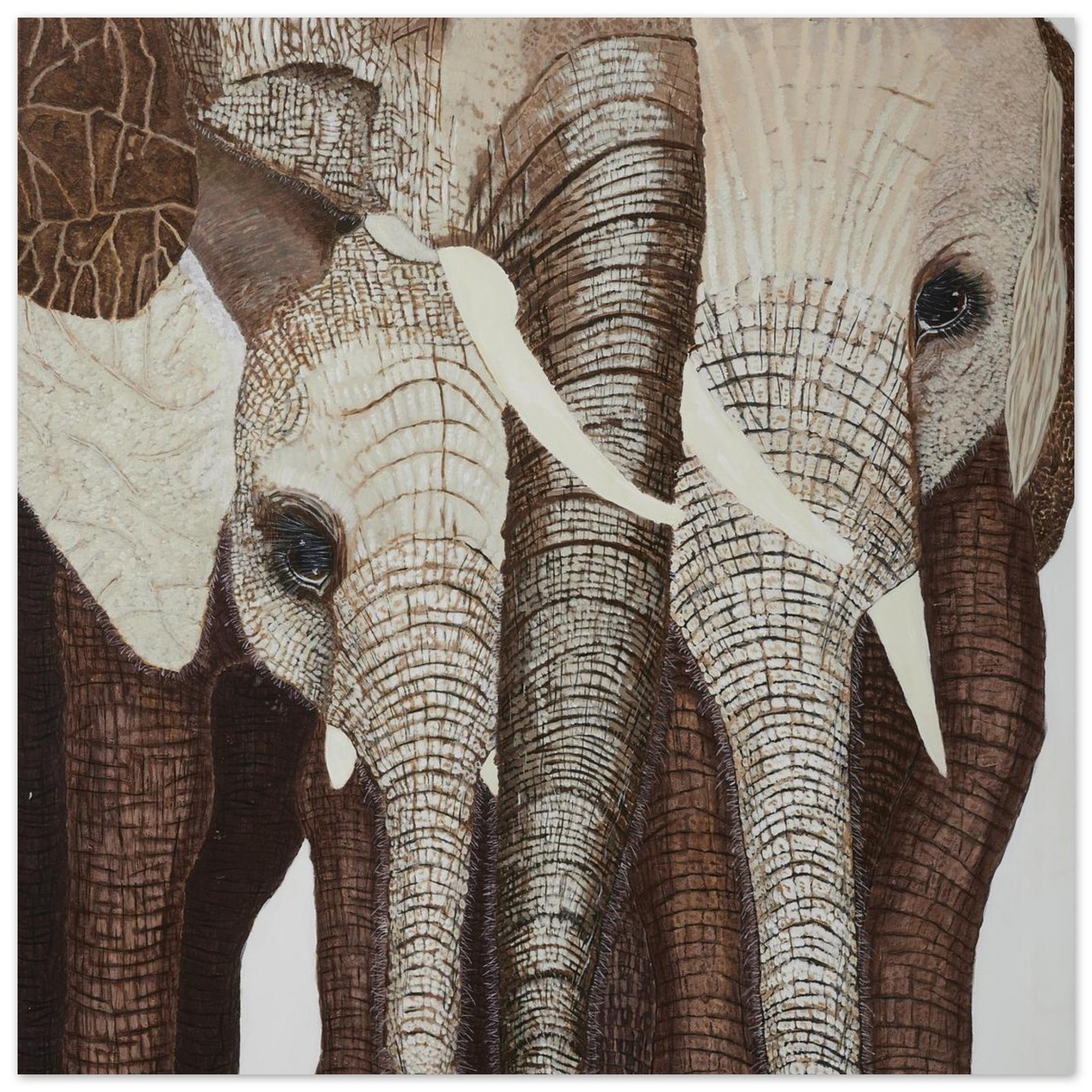 A Young Family of Elephants, beautiful family unit, so much Love